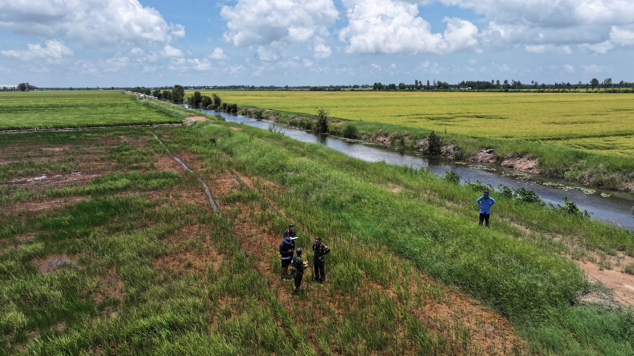 dji_20260822120141_0349_d-0caedcc4d21fd90fc7002c3a96c2d2f9.jpg