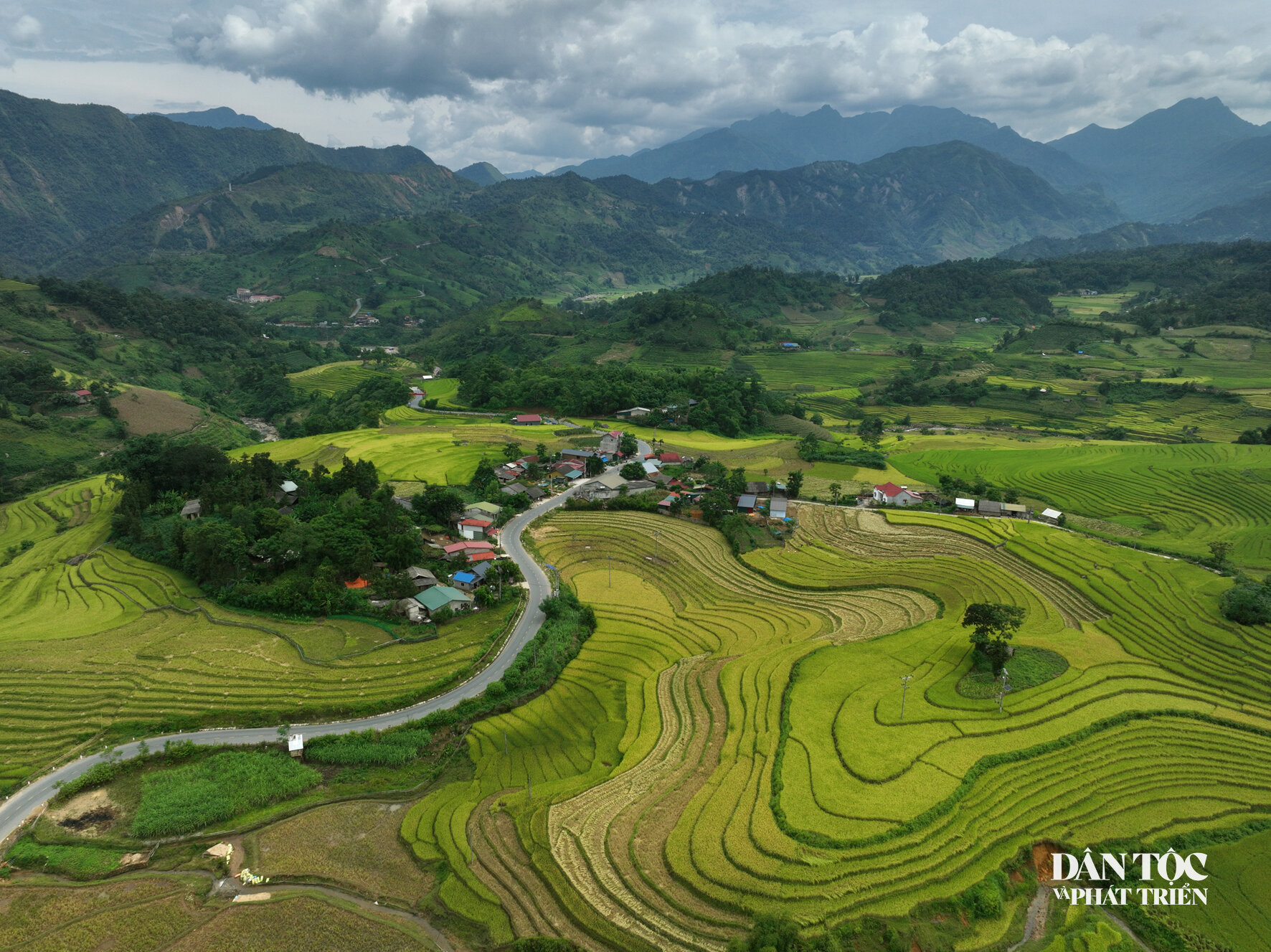 dji_0728.jpg