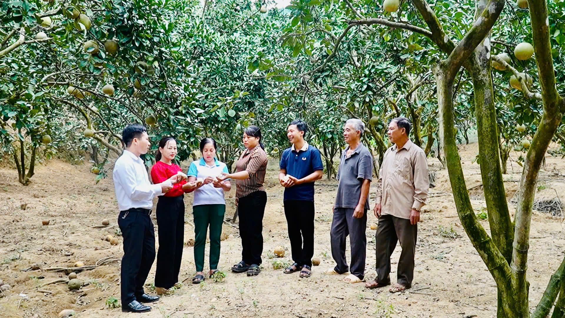 Người dân thôn Múc trao đổi kinh nghiệm chăm sóc bưởi, phát triển kinh tế vườn.