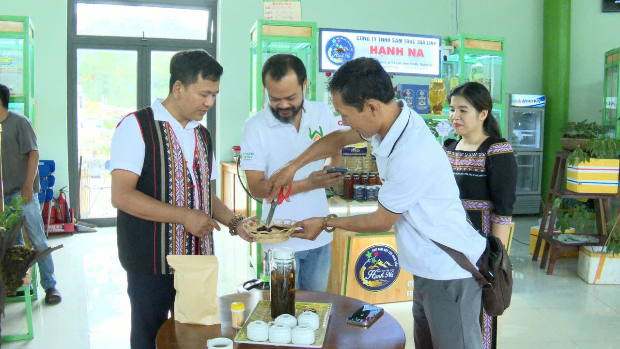 Nam Trà My tổ chức Phiên chợ Sâm Ngọc Linh dịp Lễ Quốc khánh 