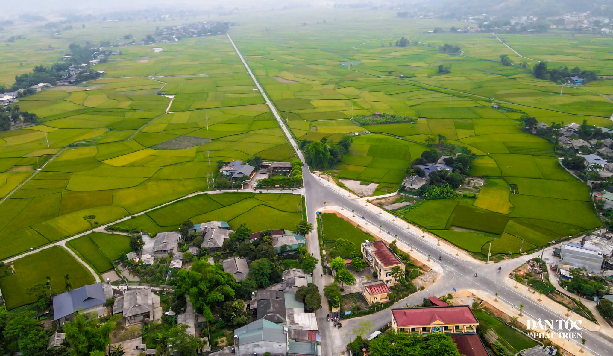 Cánh đồng Mường Lò