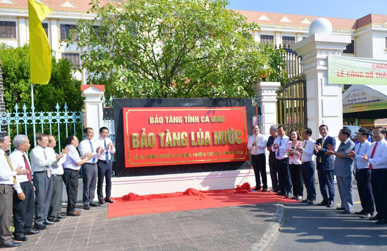 Bảo tàng Lúa nước Cà Mau được công bố thành lập vào ngày 25 tháng 4 năm 2026. Ảnh: Cổng Thông tin tỉnh Cà Mau