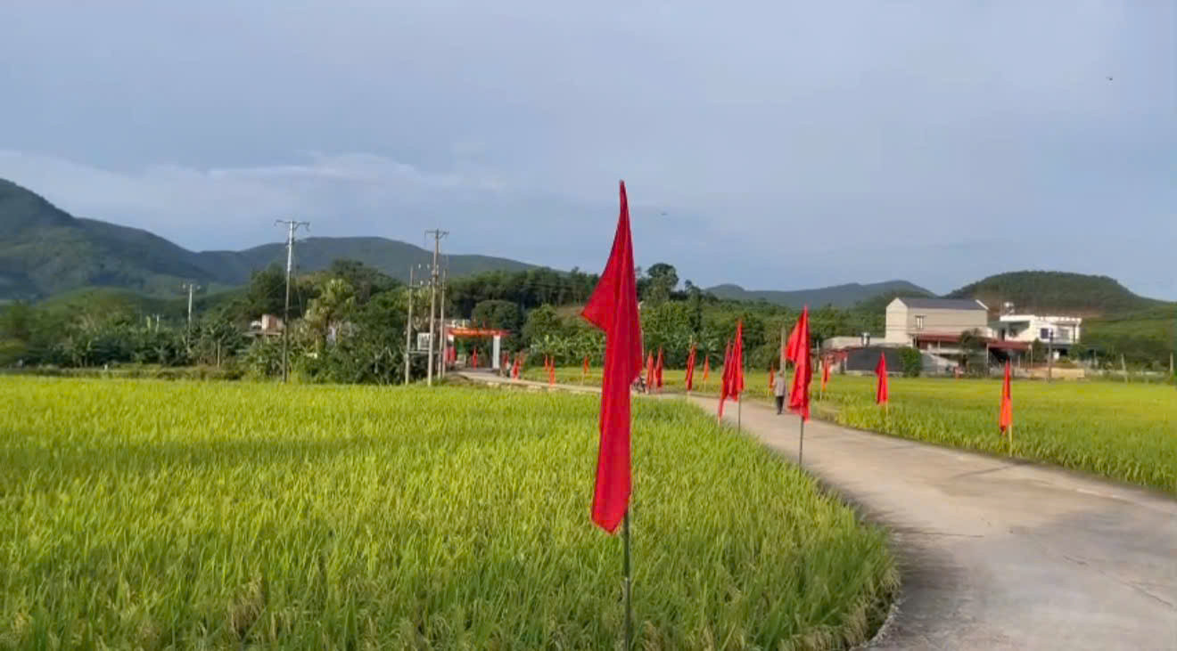 Bản làng Đồng Bớp bình yên giữa núi rừng, nơi những giá trị văn hóa bản địa đang được đánh thức để trở thành nguồn lực phát triển kinh tế. Ảnh: CTV