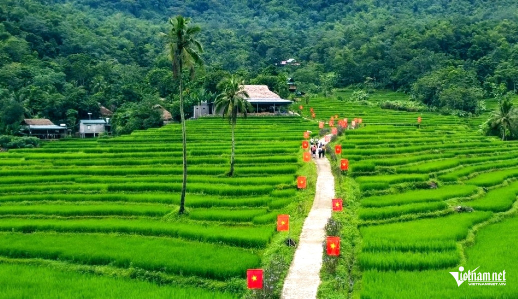 W-a3Rực rỡ cờ hoa mừng Quốc khánh.jpg