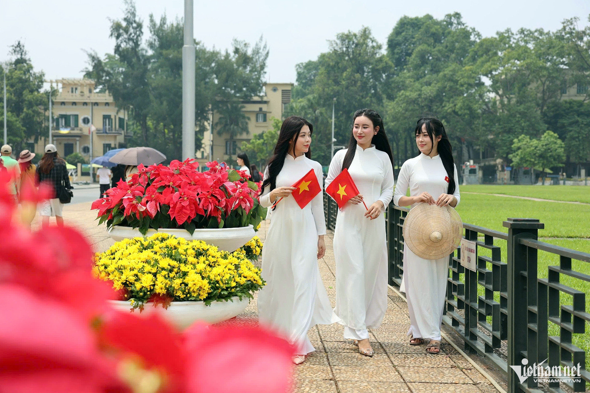 w 2a quang truong ba dinh 2 1039.jpg