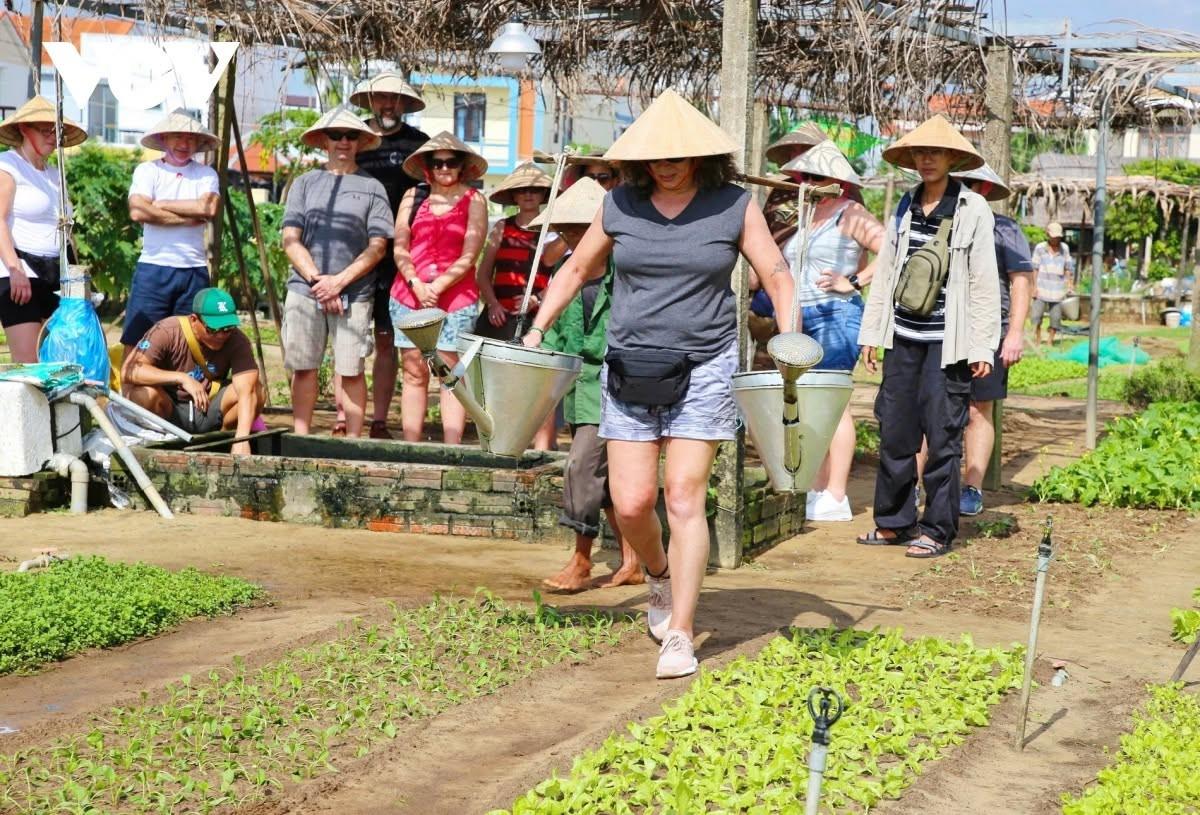 Trong hơn 36.000 lượt khách, có tới gần 36.000 lượt là khách nước ngoài đến trải nghiệm. Ảnh: Fc Việt Nam