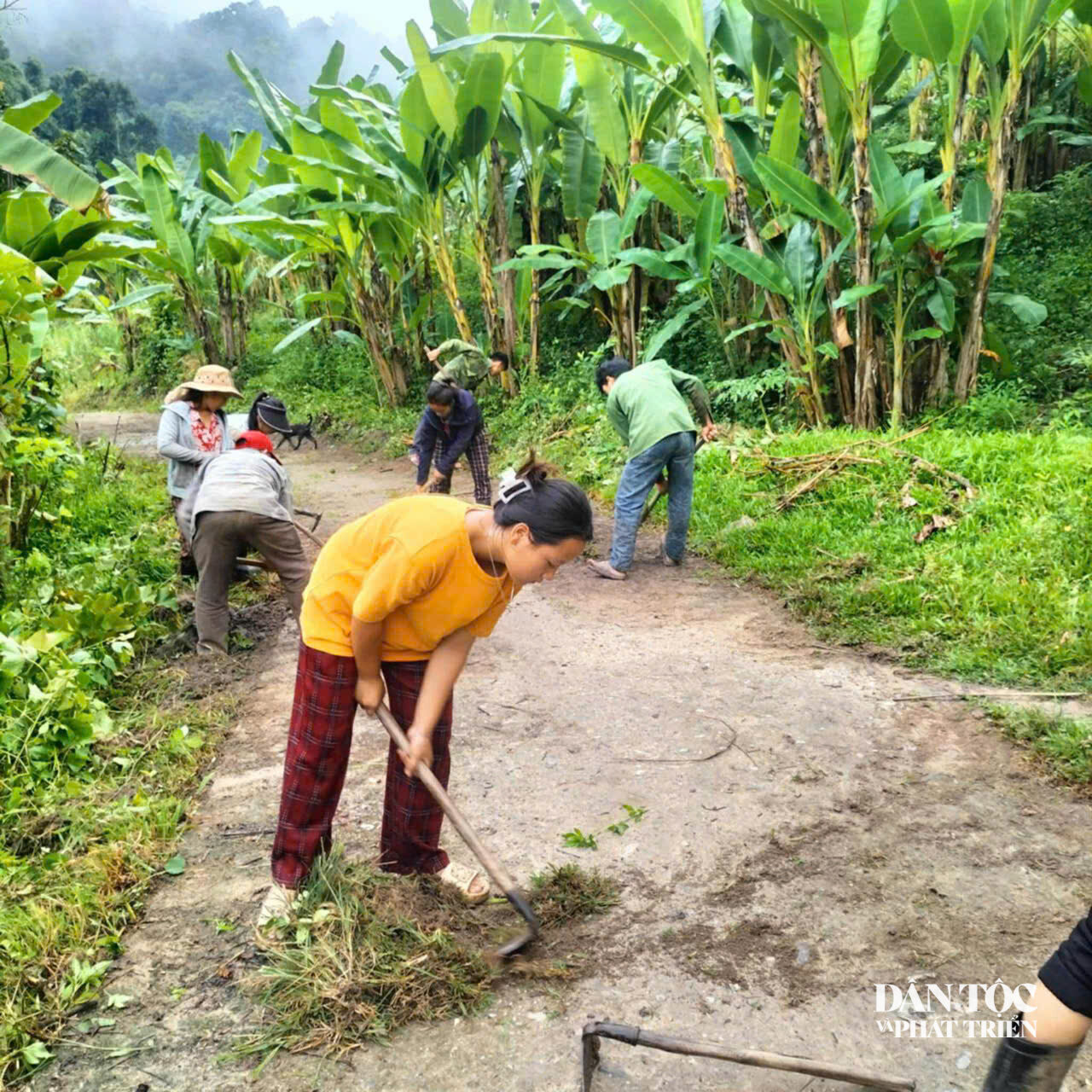 vệ sinh lưu thông