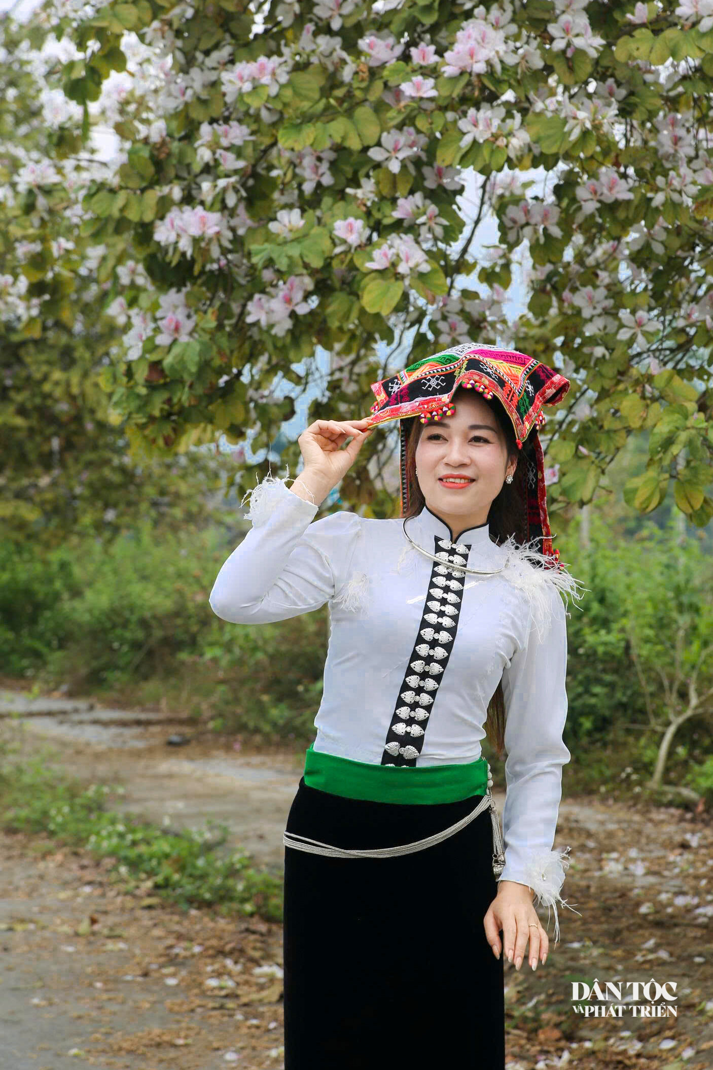 Sắc Hoa ban