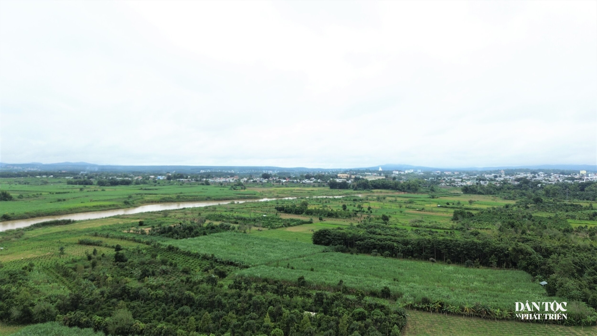 canh đồng