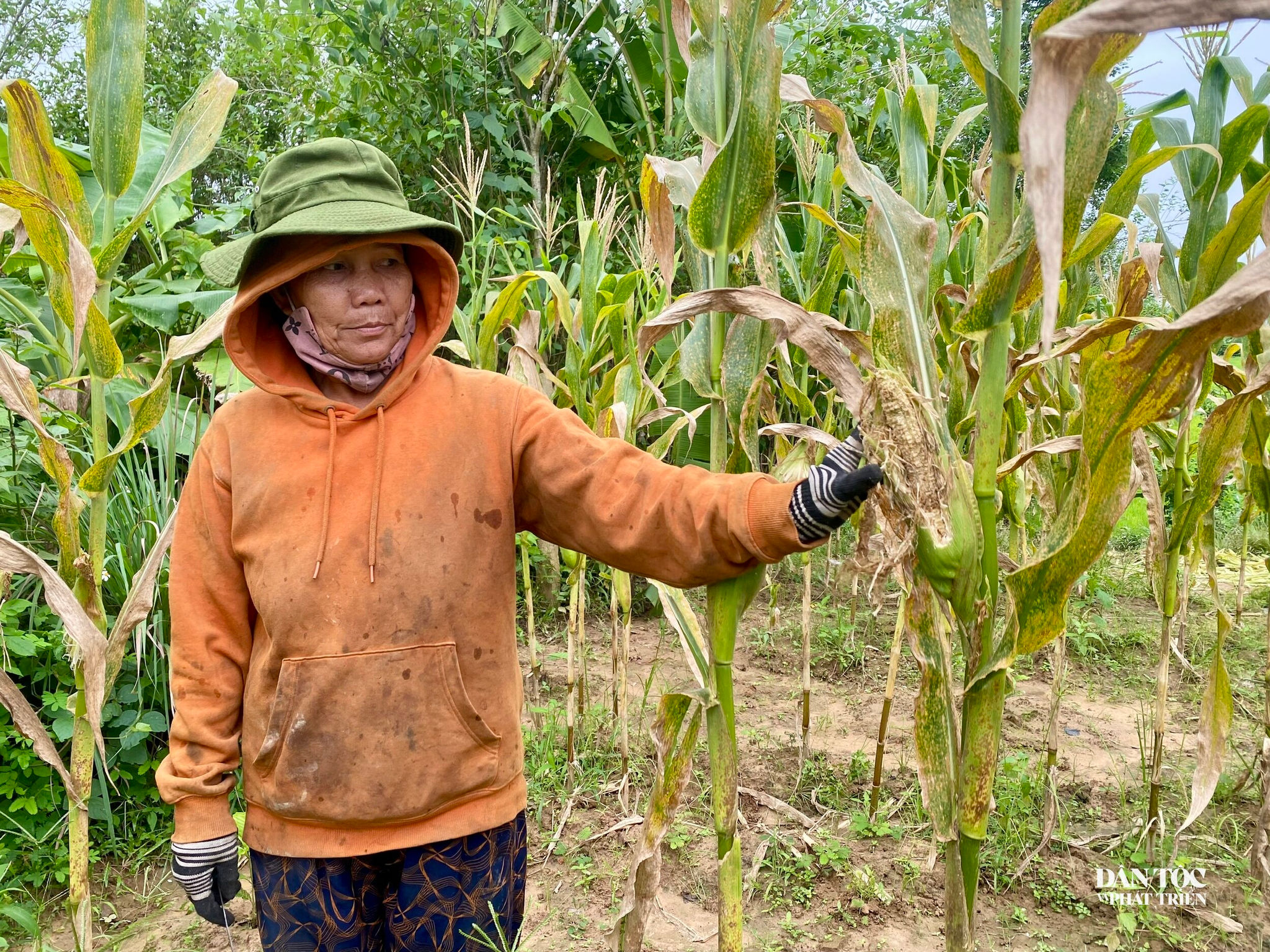 quảng ngãi