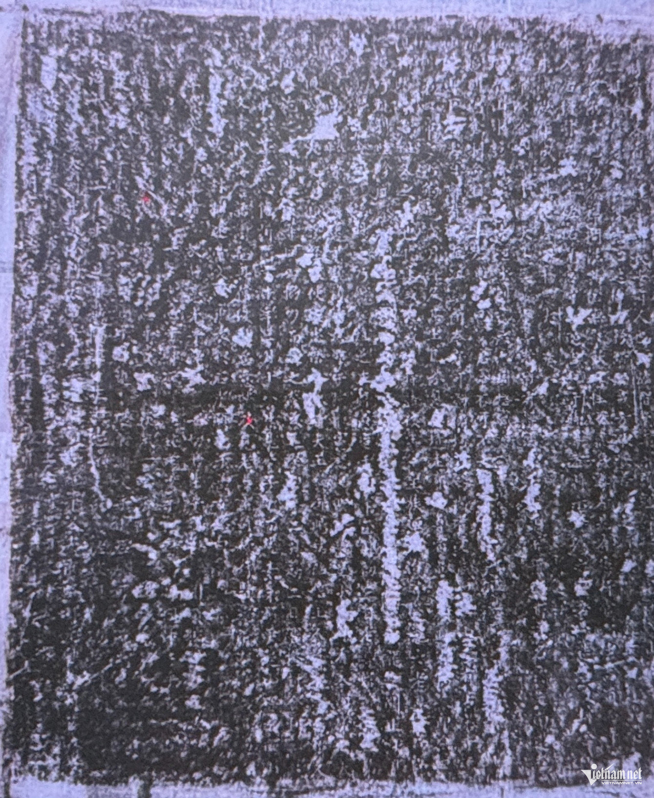 W-Van bia Tien Long son.jpg