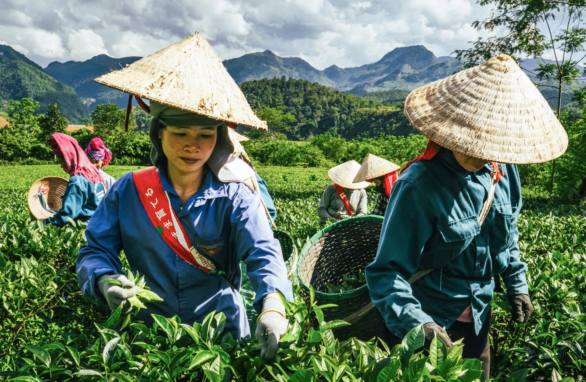 Từ những công việc sản xuất quen thuộc, người Thái từng bước đưa bản sắc và sản vật địa phương trở thành một phần trải nghiệm dành cho du khách. Ảnh: Trần Nhâm