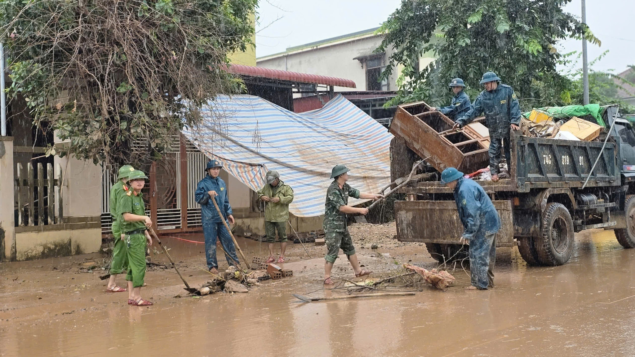 ANH 12