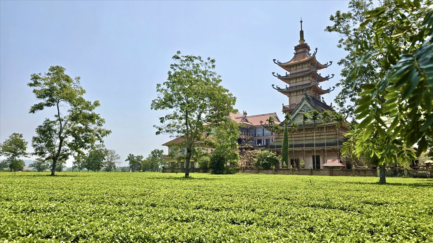 uploads-2026-thang-4-ngay-23-ngoc-thu-img4995.jpg