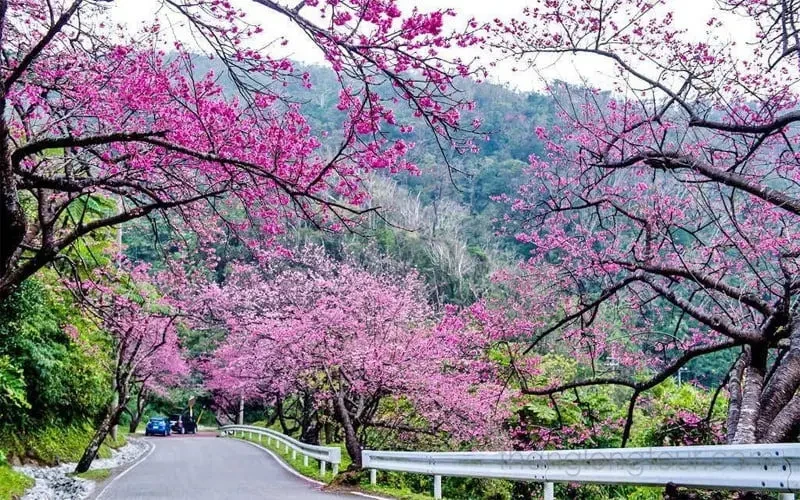 Sa Pa trong năm, đi mùa nào cũng có lý do để trở lại