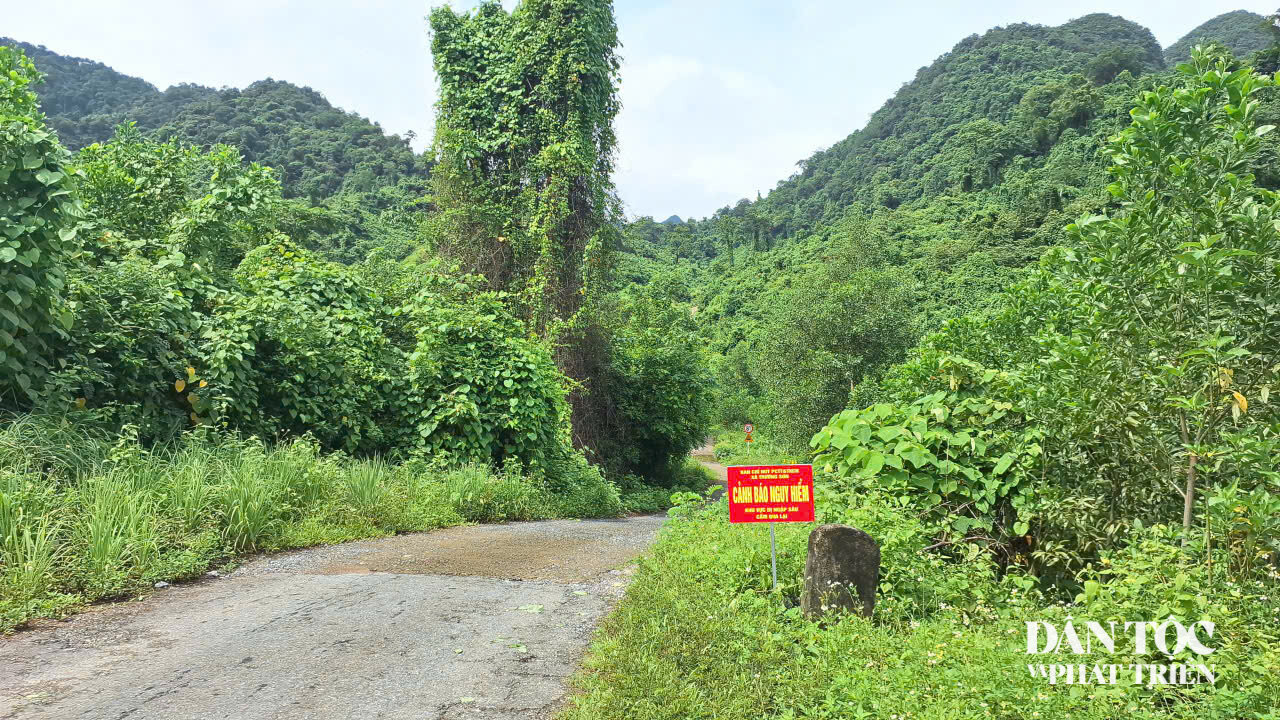anh 25