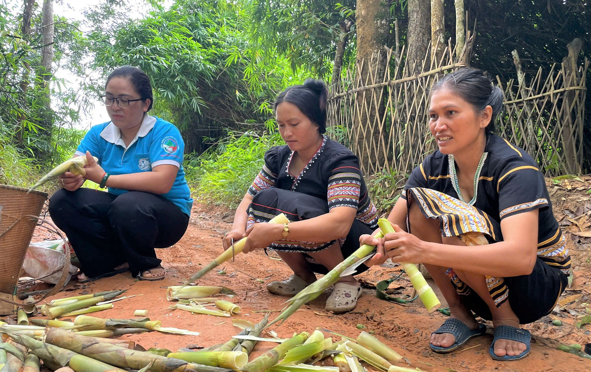 măng rừng