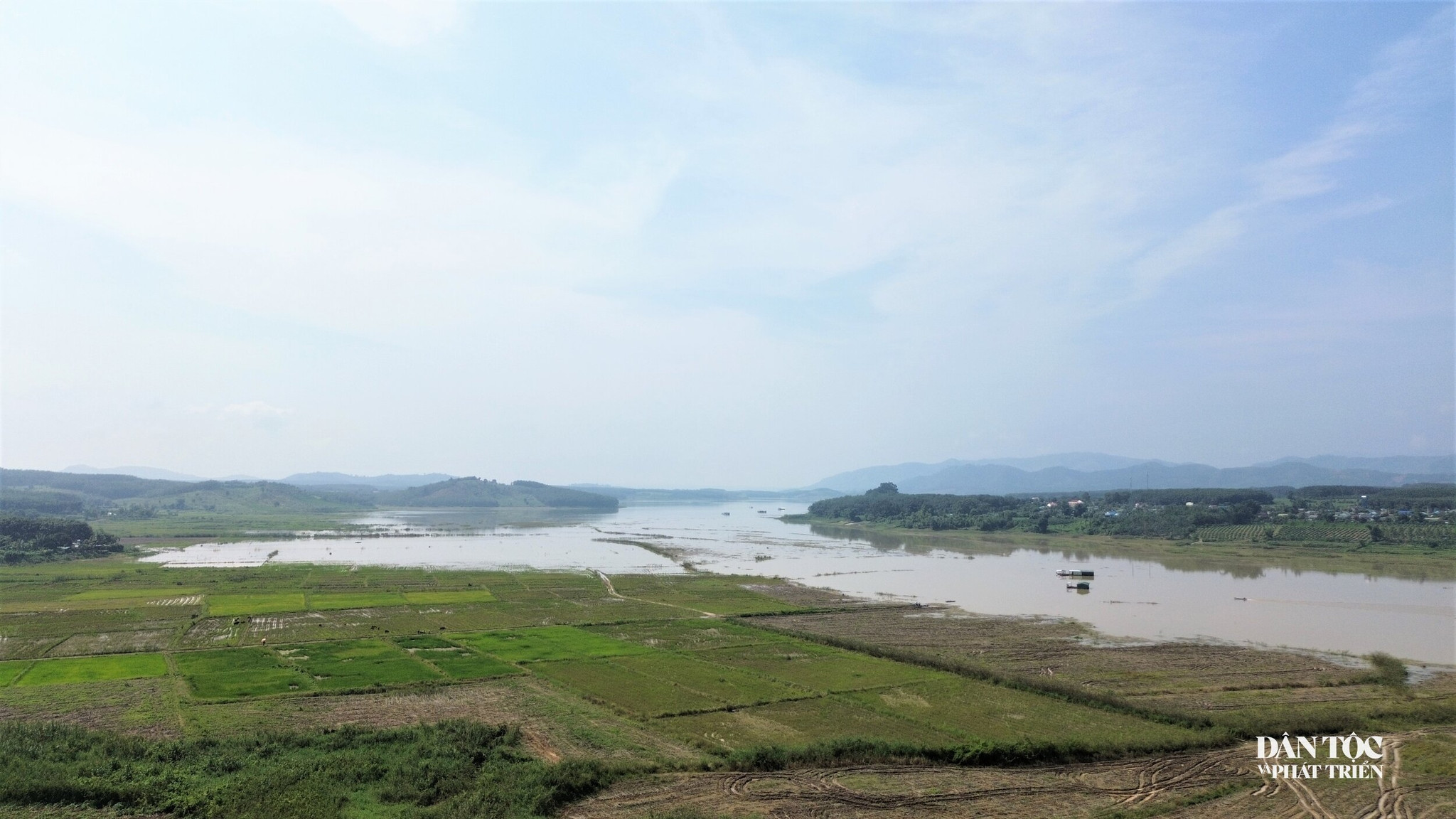 thu hoạch sắn 1