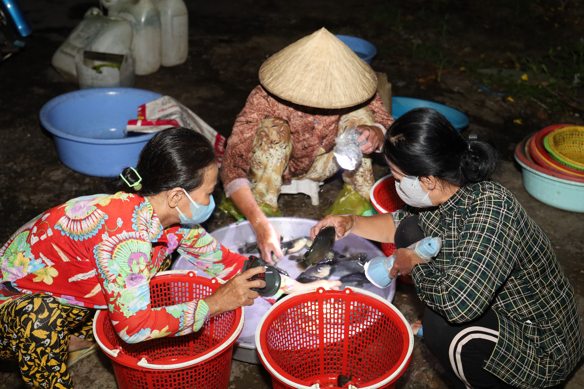3 giờ sáng ở chợ cá “âm phủ” nổi tiếng miền Tây