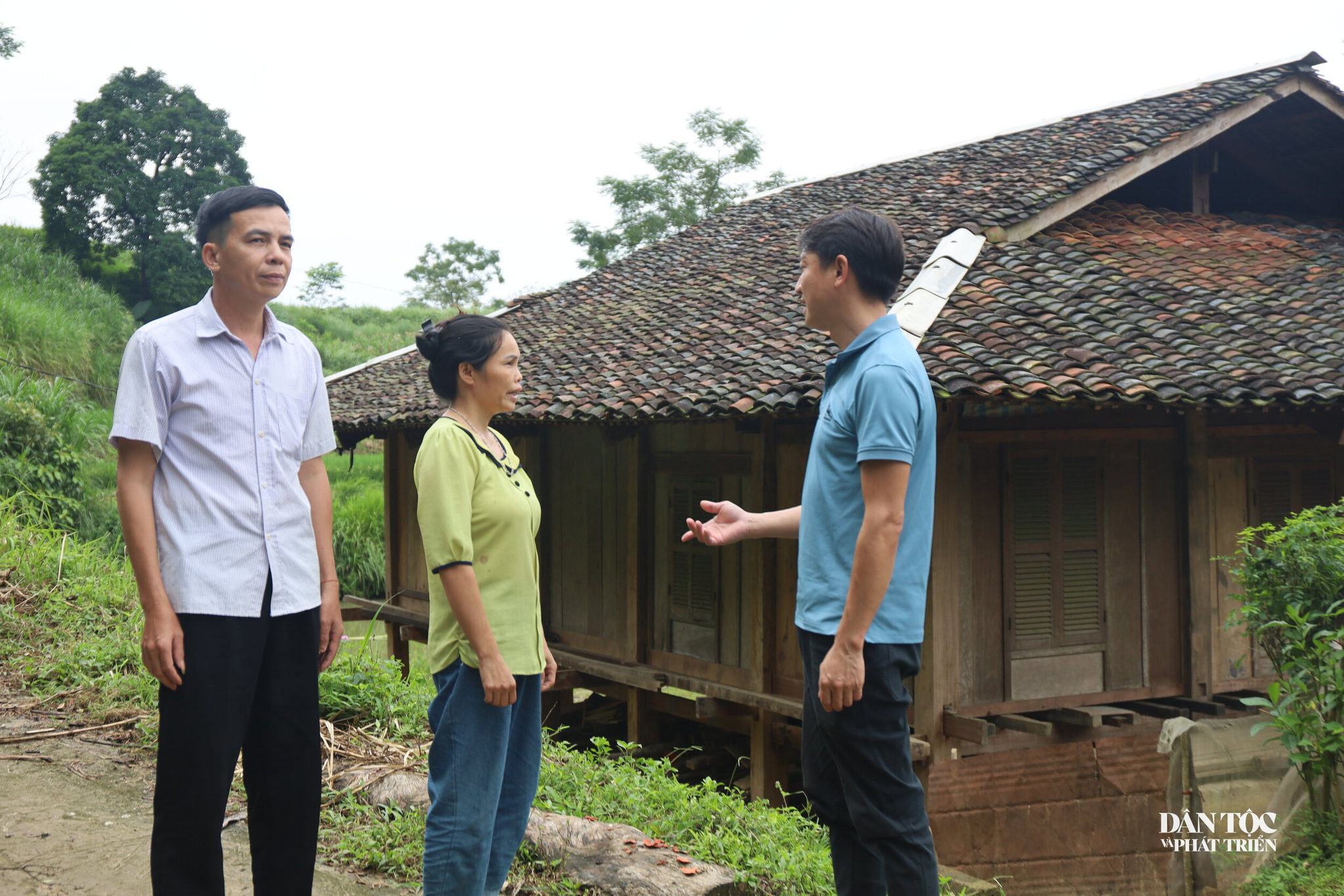 Hồng Thái