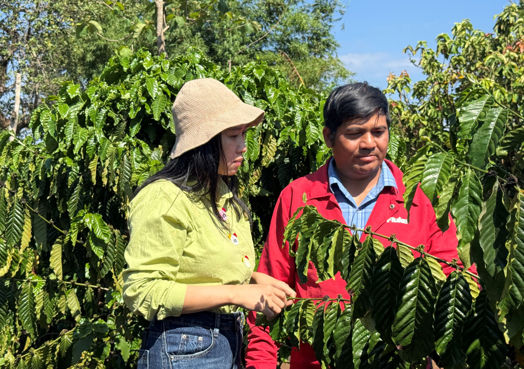 Bình yên buôn làng xứ đạo: Kon H'rinh qua thời 