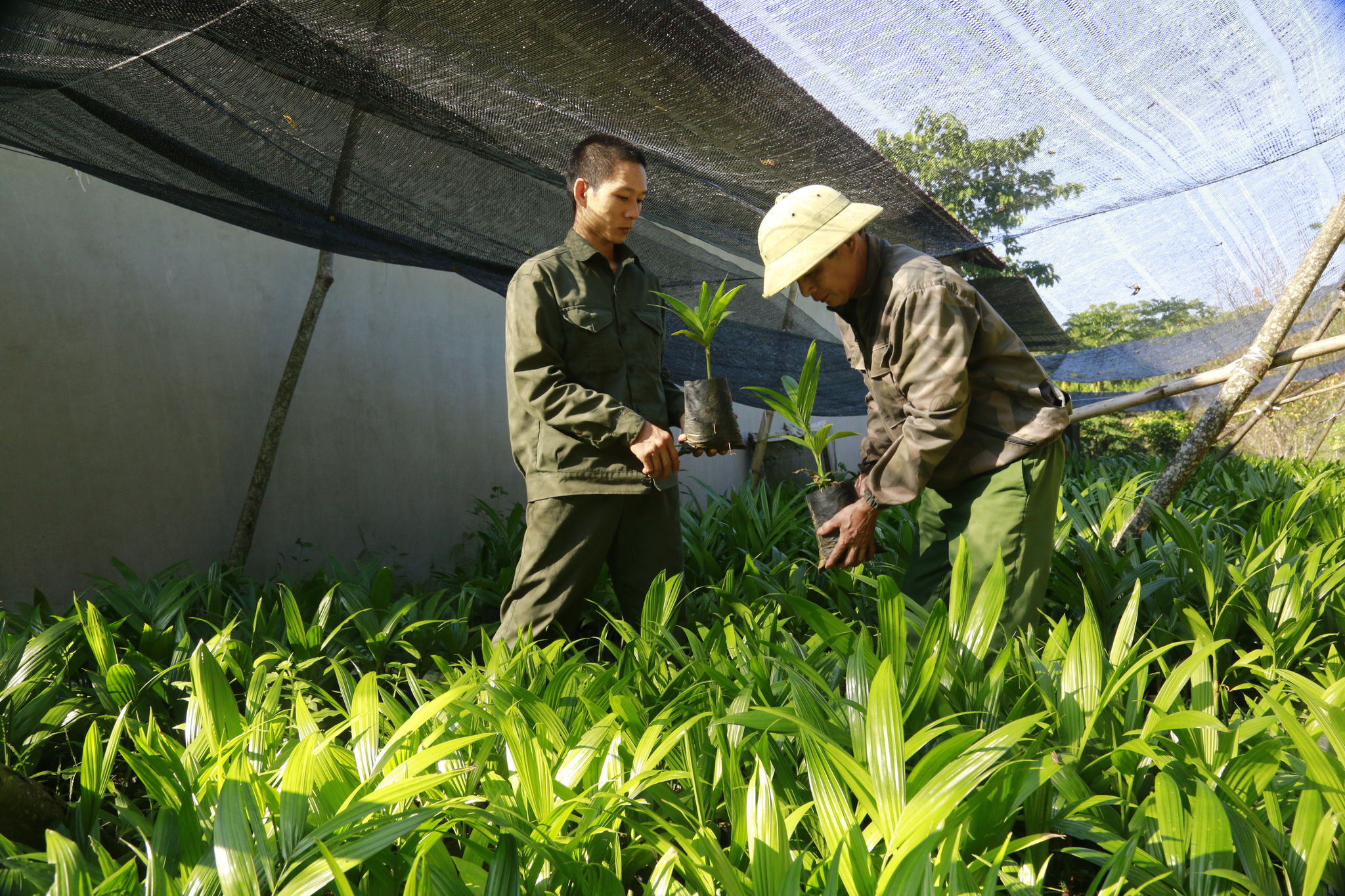 _mg_5790.jpg