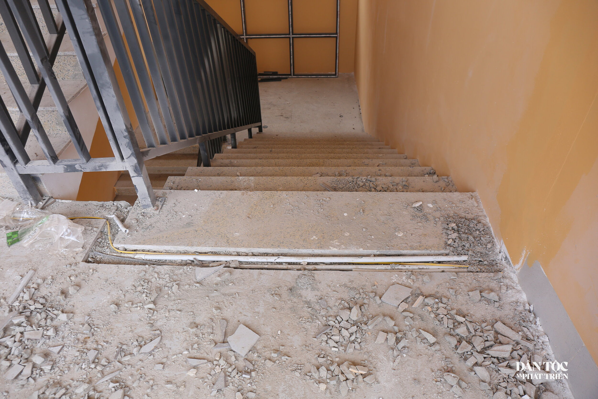 hai_9920.jpg