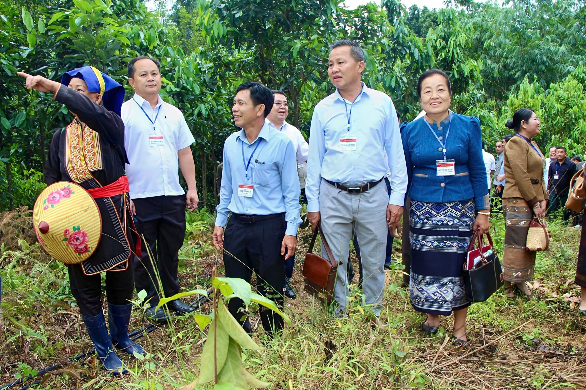 Cán bộ Lào tìm hiểu cách Ba Chẽ làm kinh tế từ cây quế
