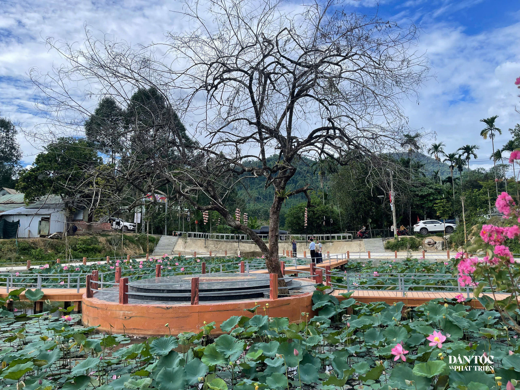 Lao Đu 4