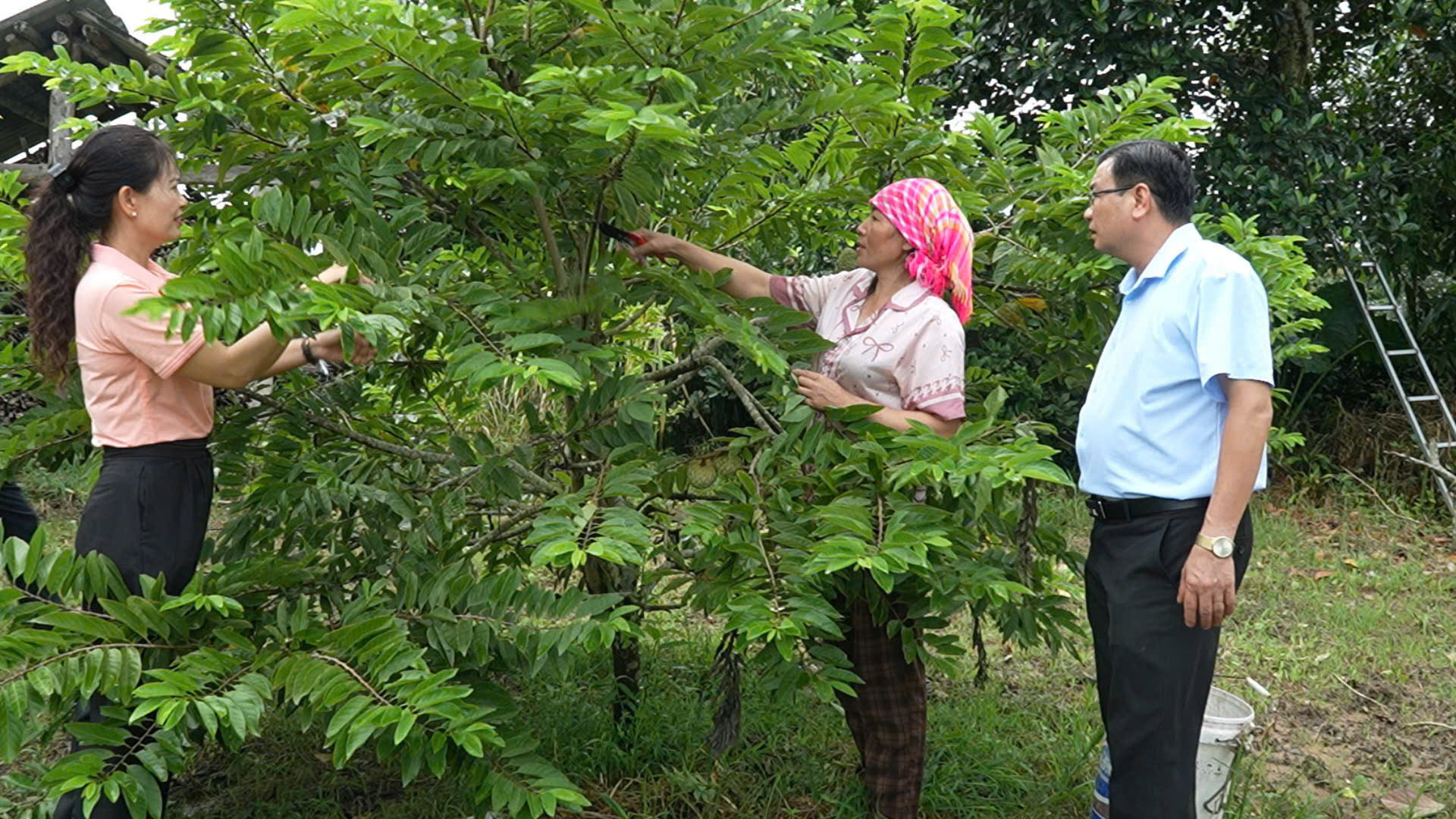 Chị Đoàn Thị Dung (ở giữa) giới thiệu kỹ thuật cắt tỉa, chăm sóc cây na đang trong giai đoạn chuẩn bị cho thu hoạch với đại diện các đoàn thể xã.