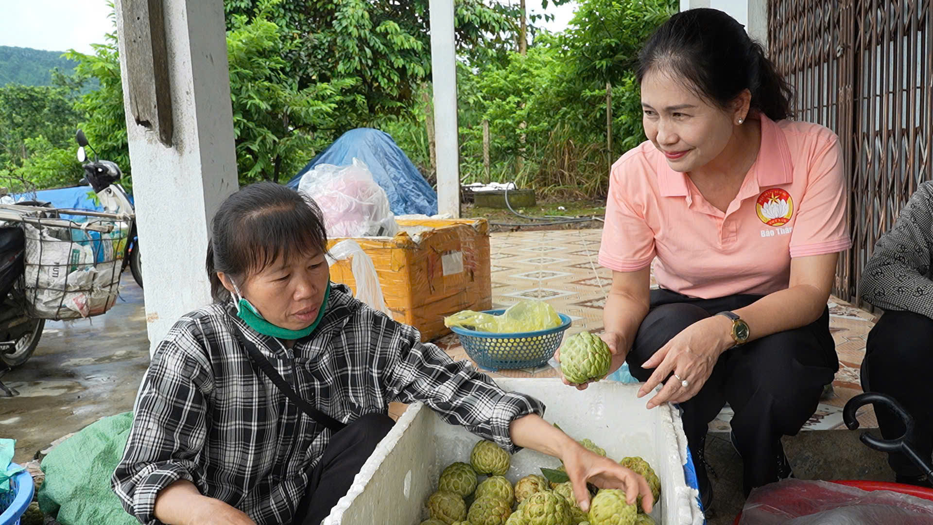 Na sau khi thu hoạch được thương lái đến tận nhà thu mua, đảm bảo đầu ra thuận lợi cho bà con nông dân.