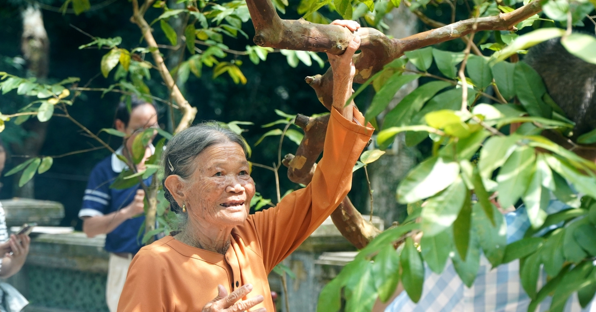 Hàng nghìn người ghé thăm ‘cây ổi cười’ ở lễ hội Lam Kinh 