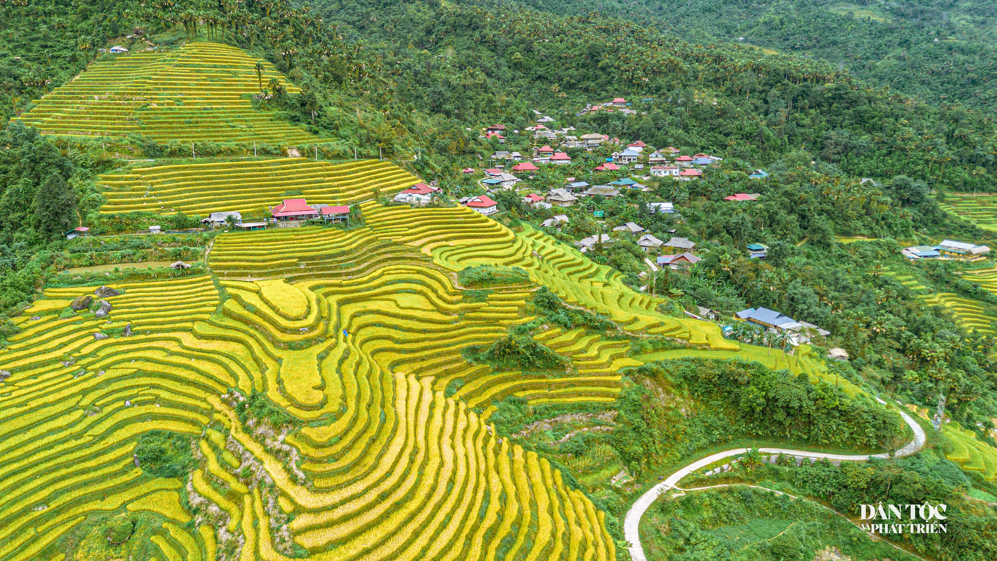 Khuổi My