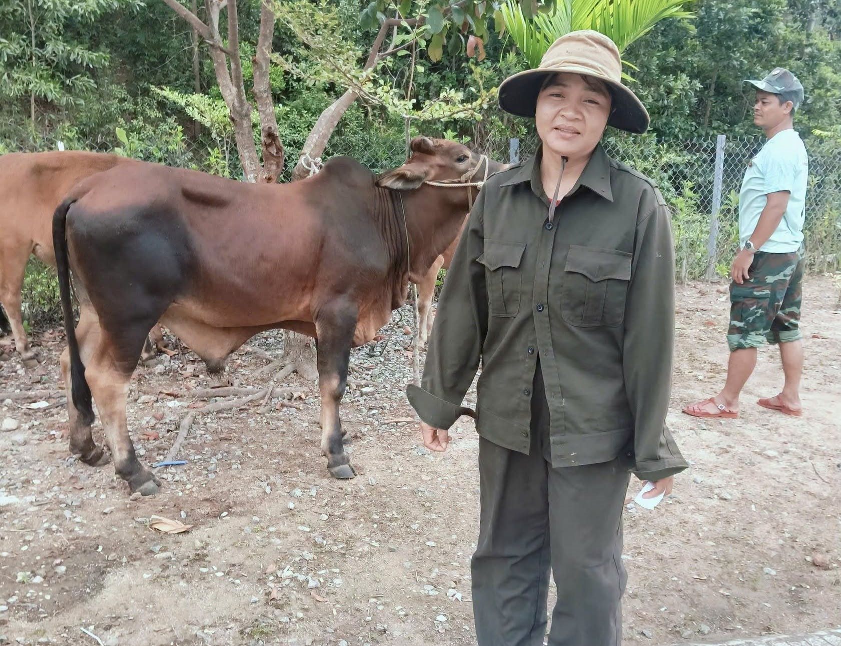 bò sinh sản4 jpg