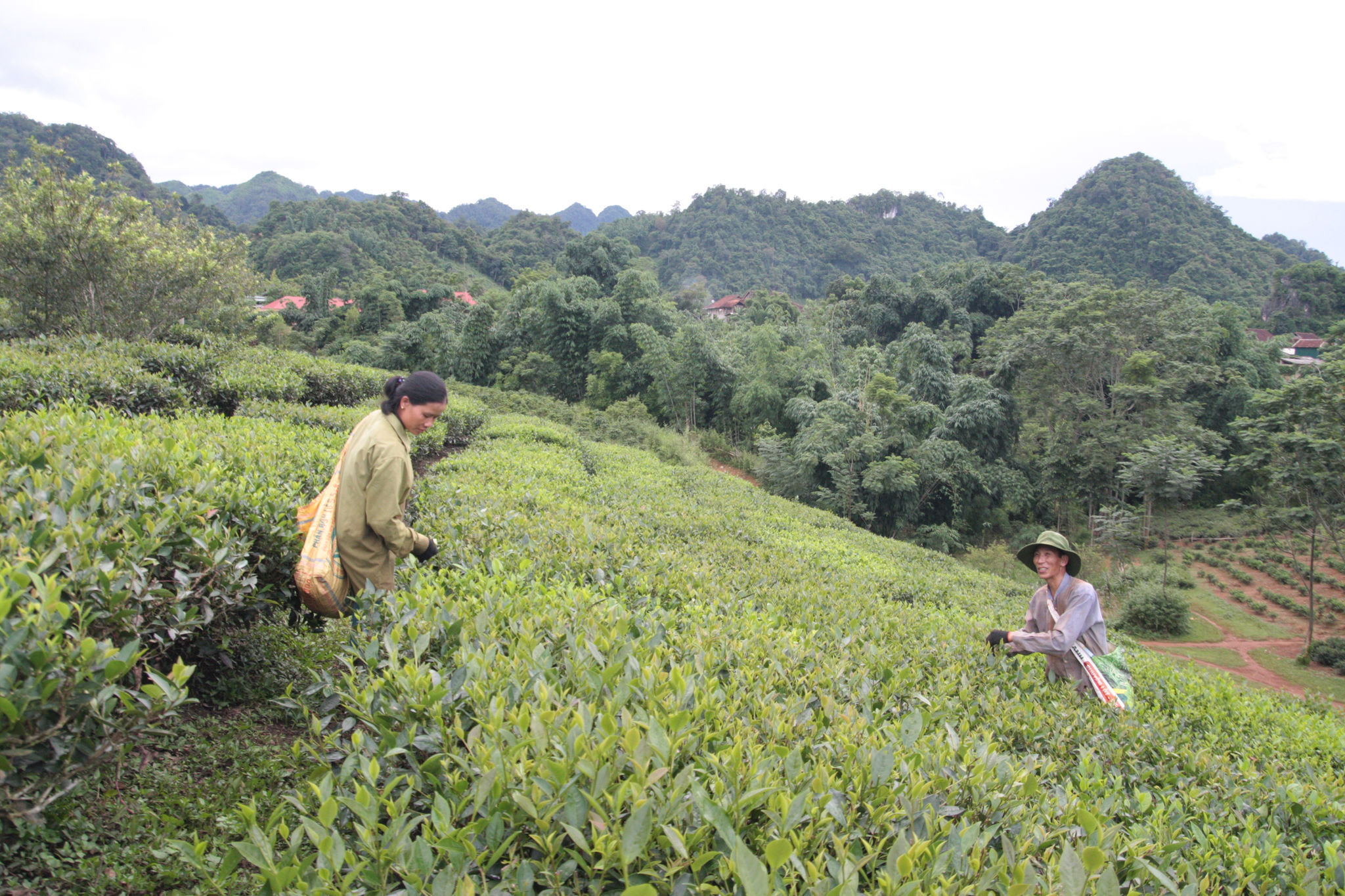 Nghịch lý 1