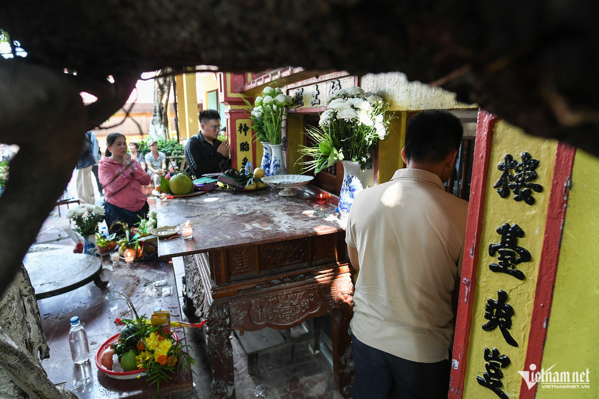 W-cay da 13 goc chua phat giao hai phong (15).JPG.jpg