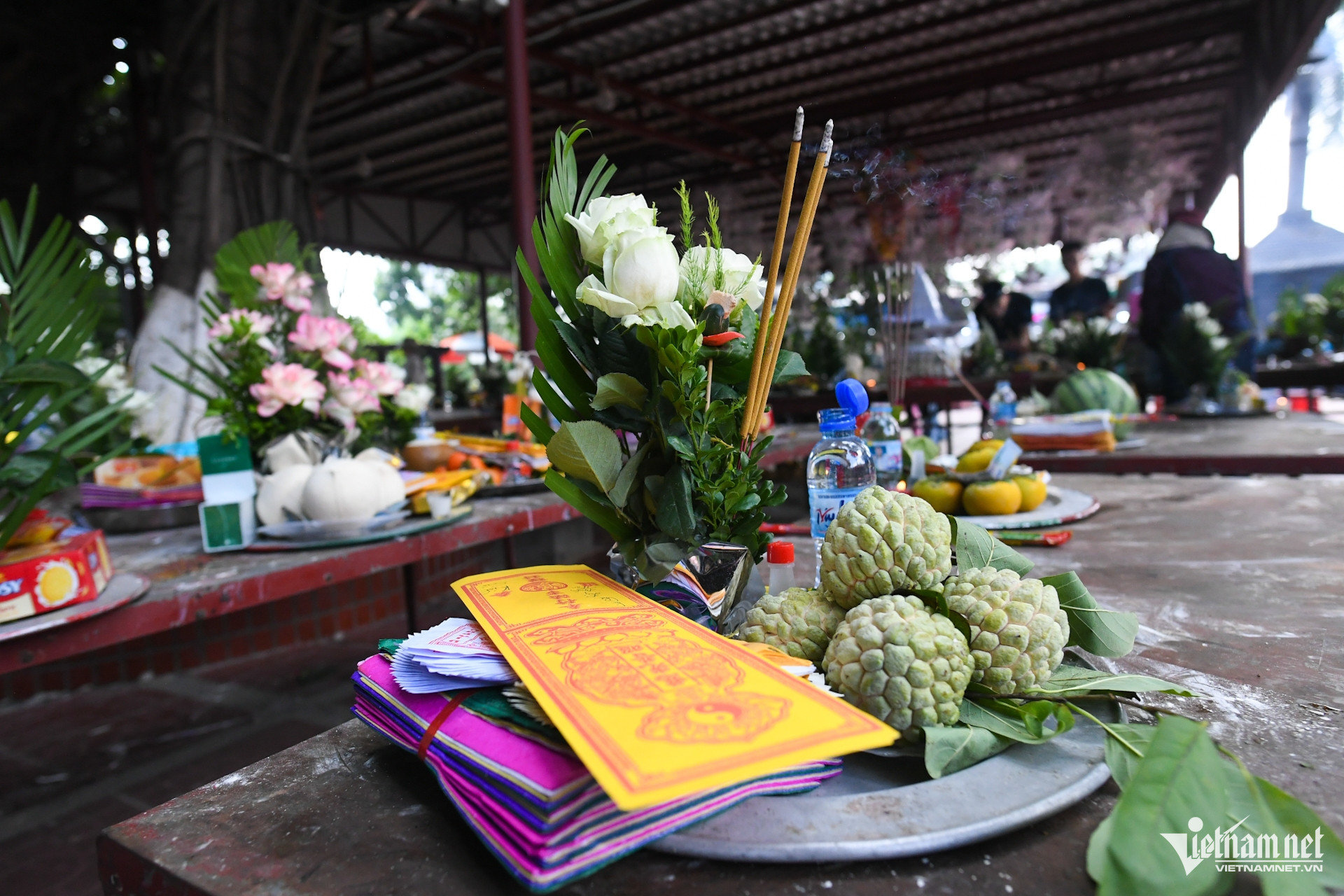 https://static-images.vnncdn.net/vps_images_publish/000001/000003/2026/10/8/w-cay-da-13-goc-chua-phat-giao-hai-phong-6jpg-699.jpg