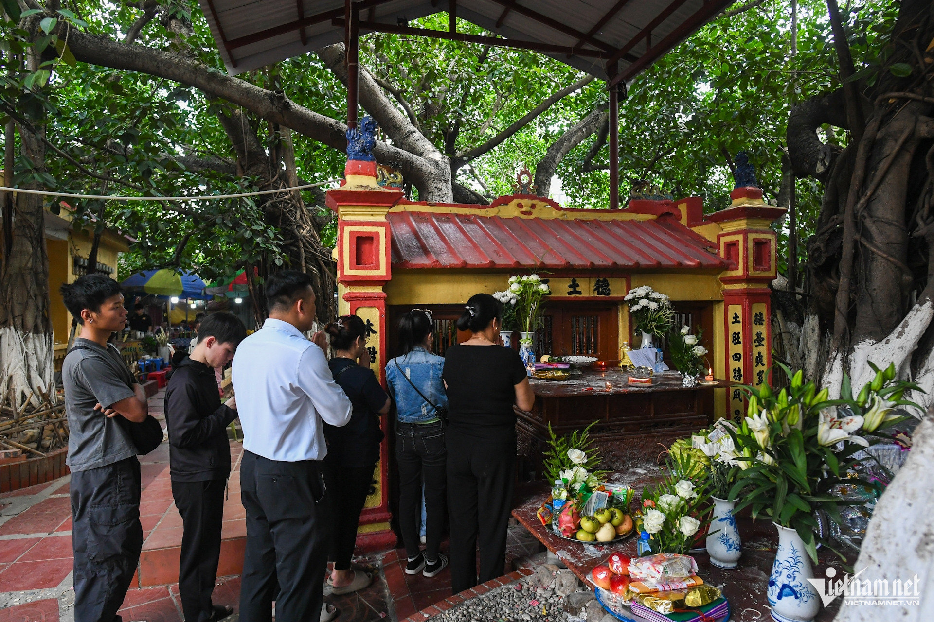 https://static-images.vnncdn.net/vps_images_publish/000001/000003/2026/10/8/w-cay-da-13-goc-chua-phat-giao-hai-phong-7jpg-694.jpg