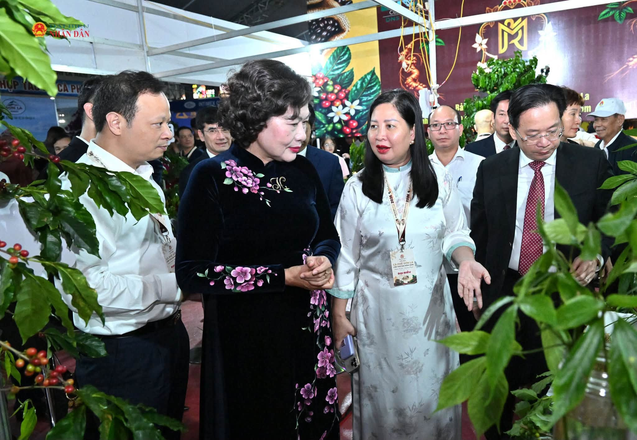 Phó Chủ tịch Quốc hội: Đưa cà phê Sơn La vươn ra thế giới bằng chất lượng 