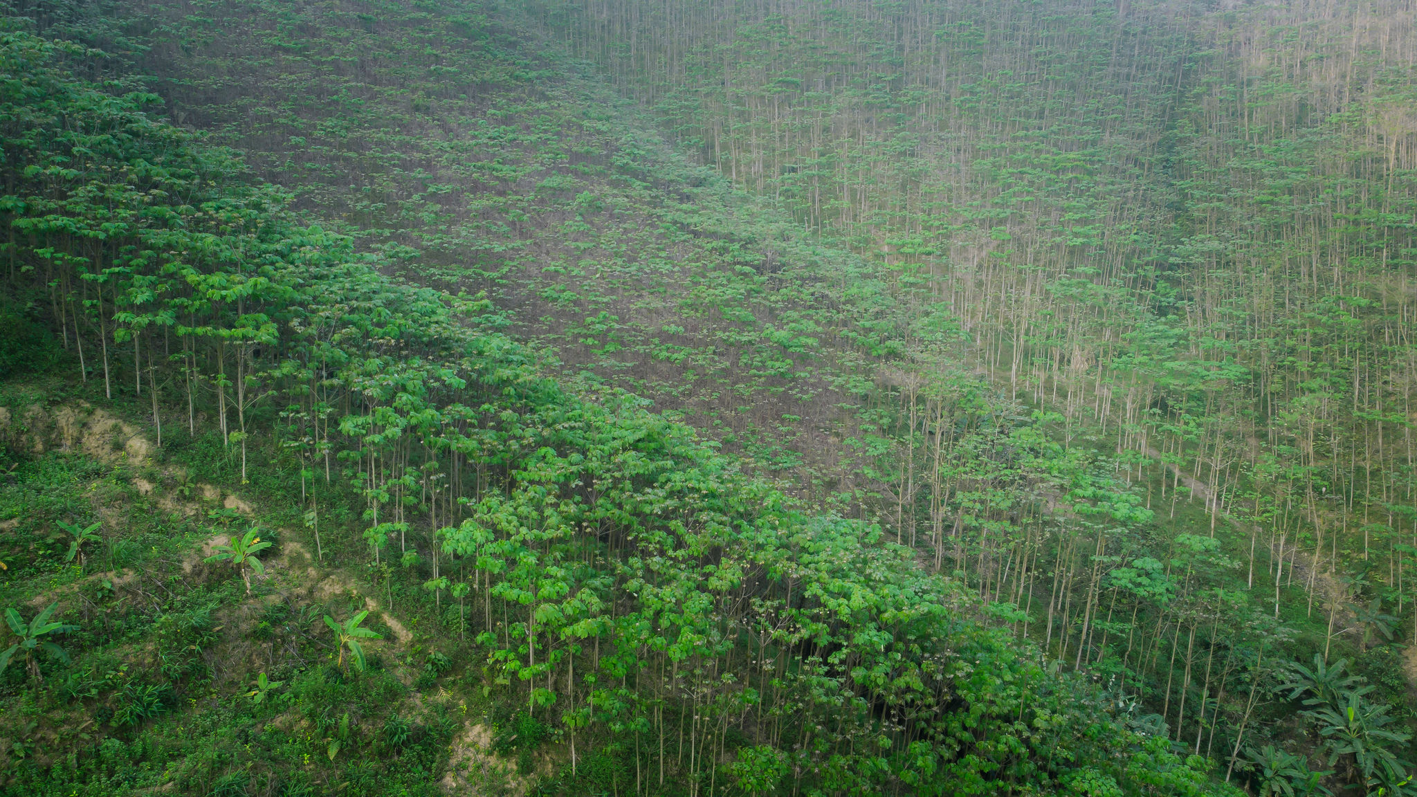 dji_0225.jpg