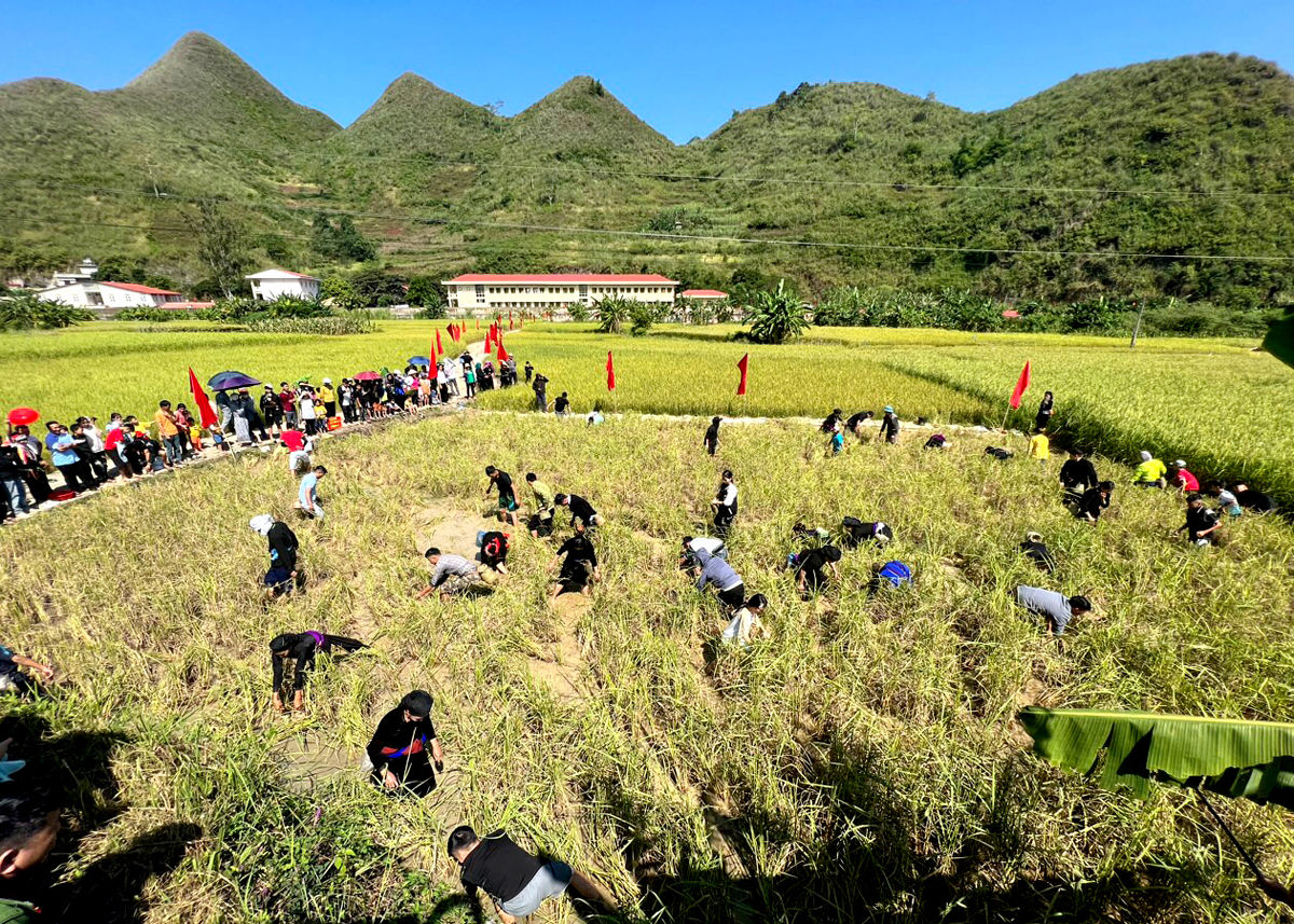 Lễ hội Tết cá của người Tày xã Mậu Duệ năm 2026 dự kiến diễn ra trong hai ngày 16 và 17/10. Ảnh: Duy Tuấn