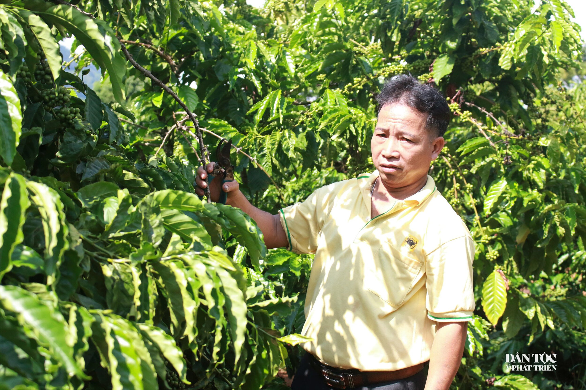 chương trình mục tiêu quốc gia
