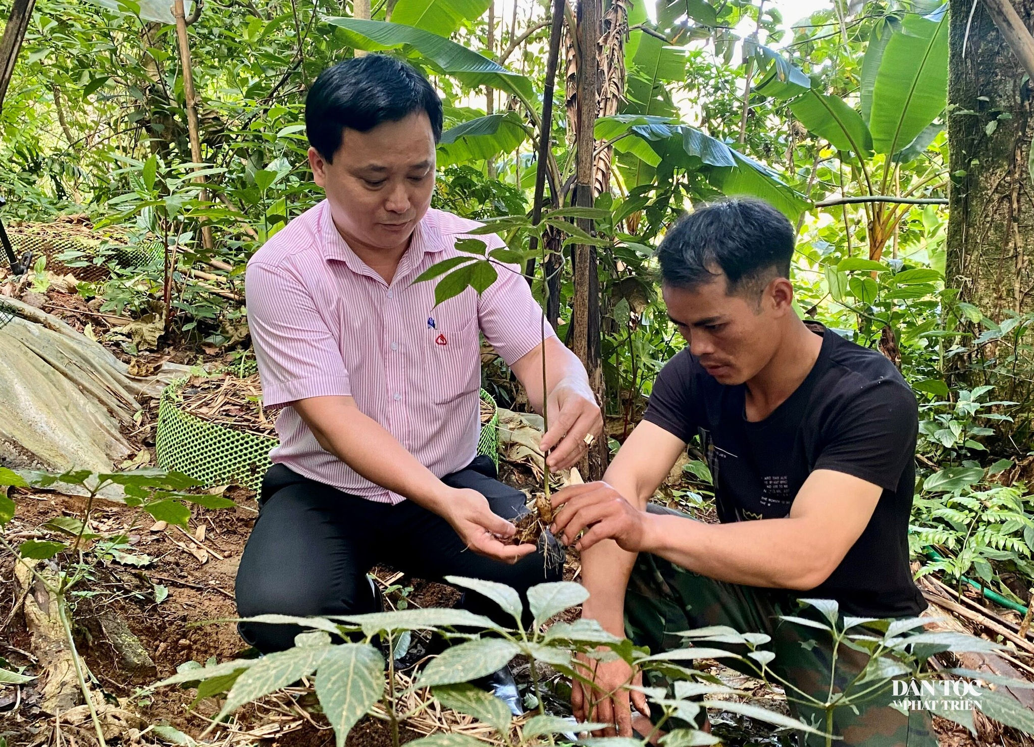 quảng ngãi