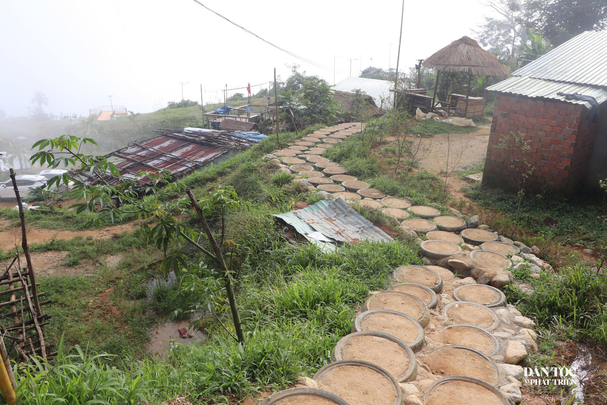 săn mây 8