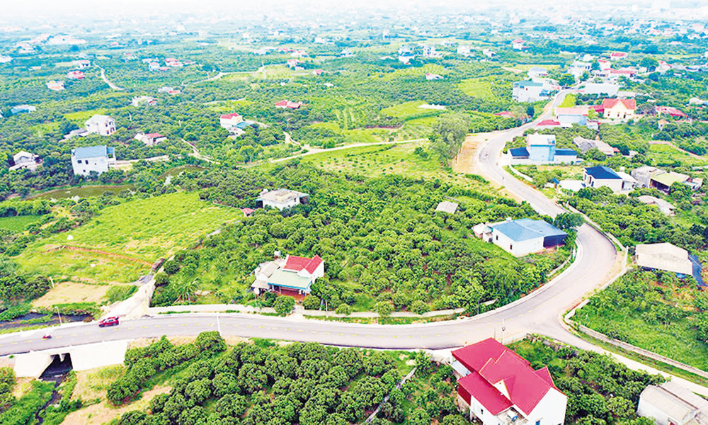 Bắc Ninh phân bổ trên 110 tỷ đồng thực hiện Chương trình MTQG năm 2026 