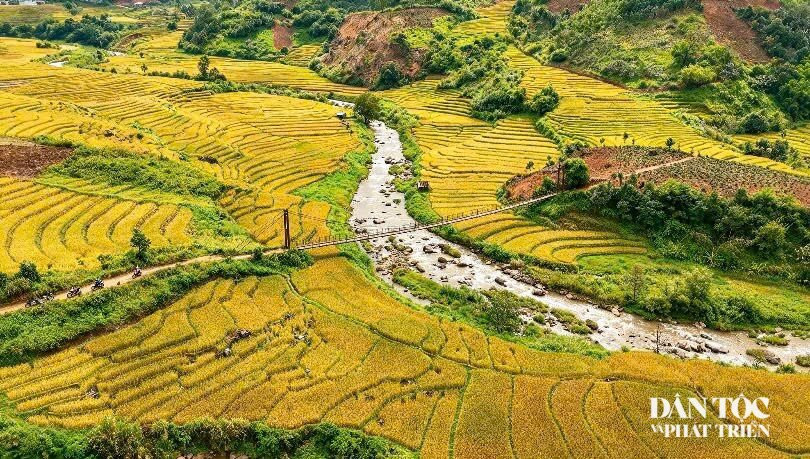 cầu treo