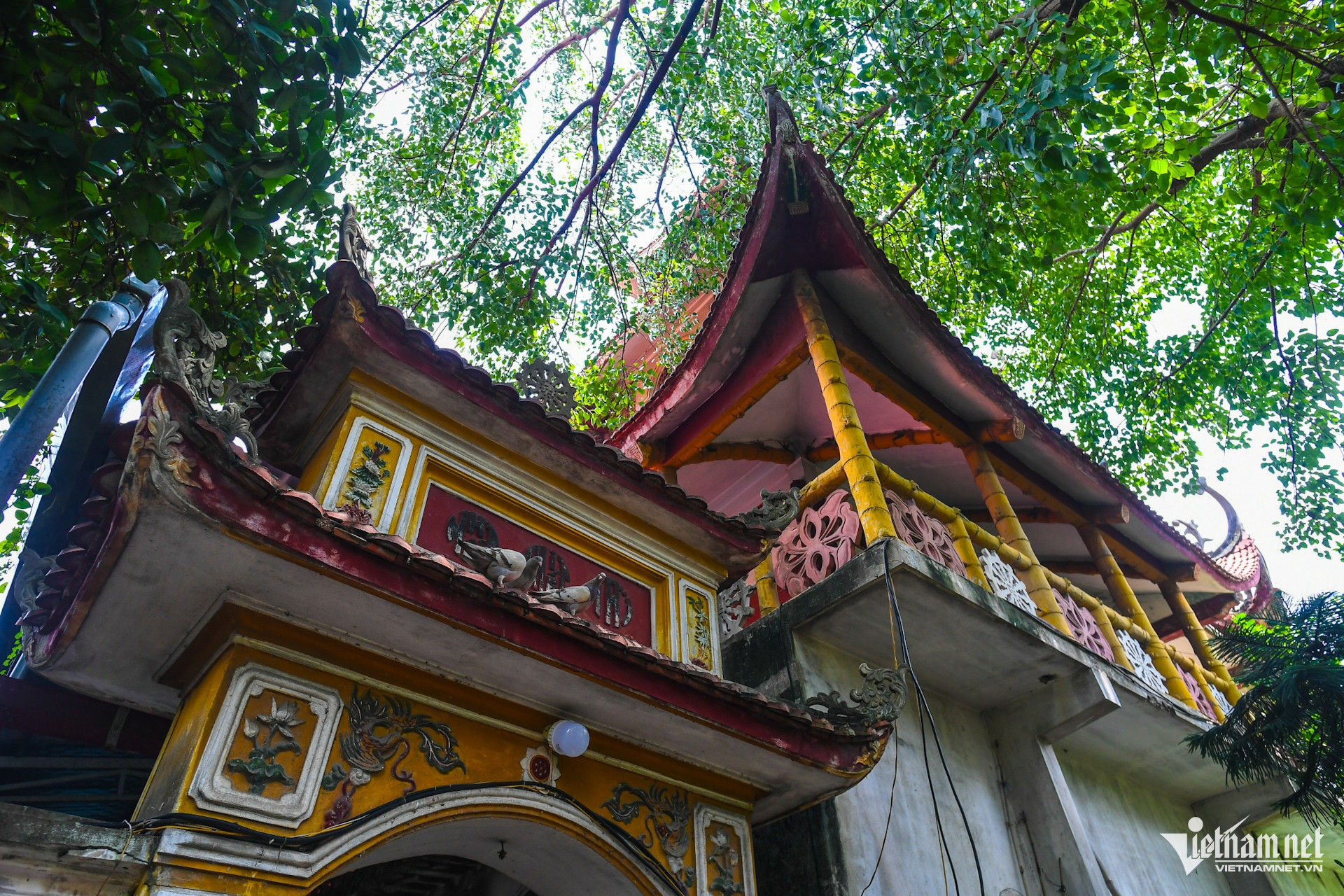 https://static-images.vnncdn.net/vps_images_publish/000001/000003/2026/10/28/w-chua-du-hang-dan-toc-ton-giao-thach-thao-hai-phong-14jpg-1687.jpg