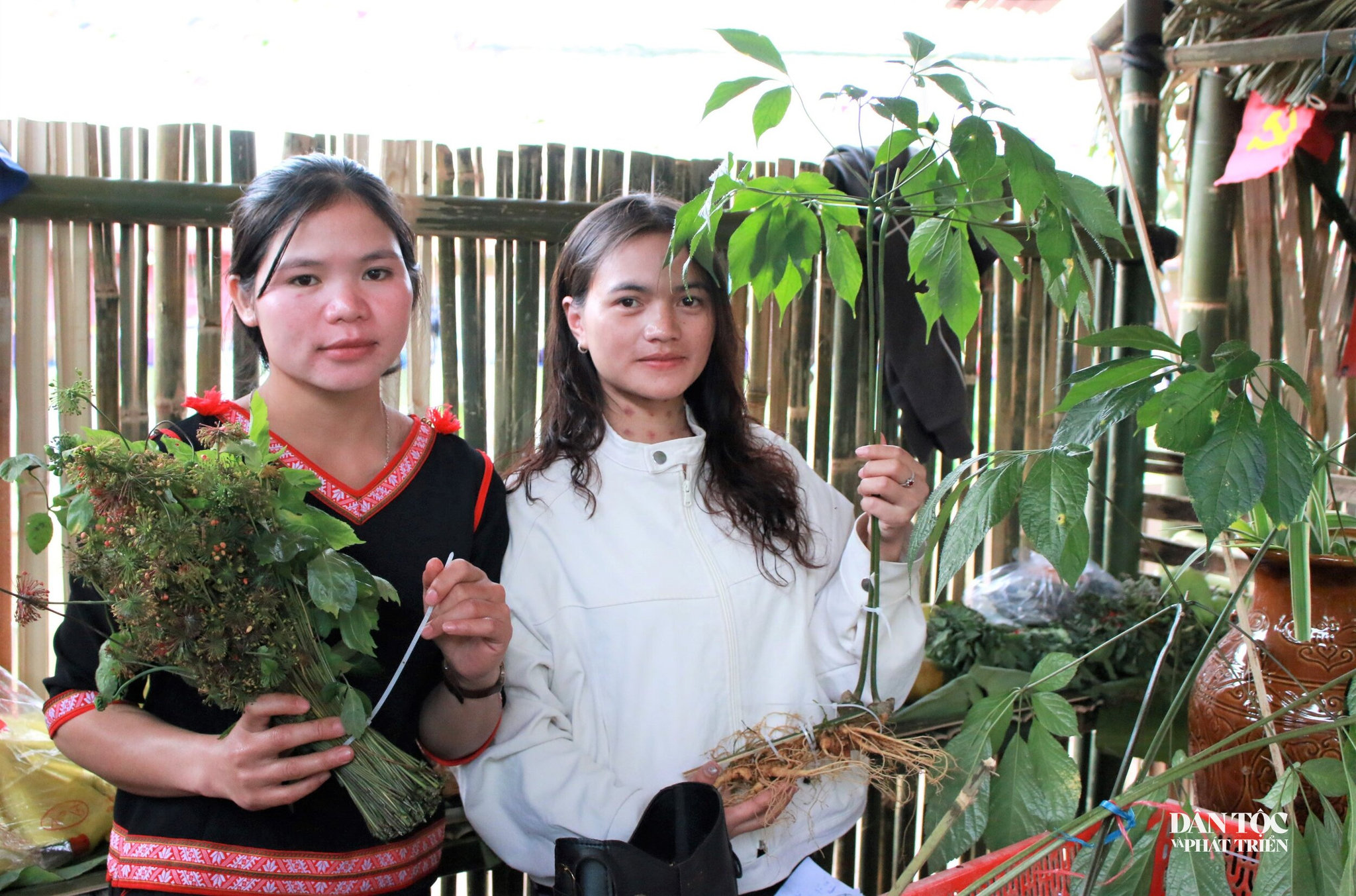 người xơ đăng
