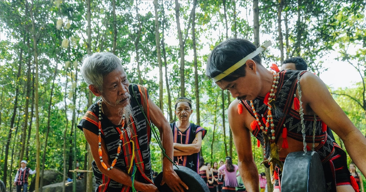 Toom Sara - khi mùa hoa rì rừng bung nở