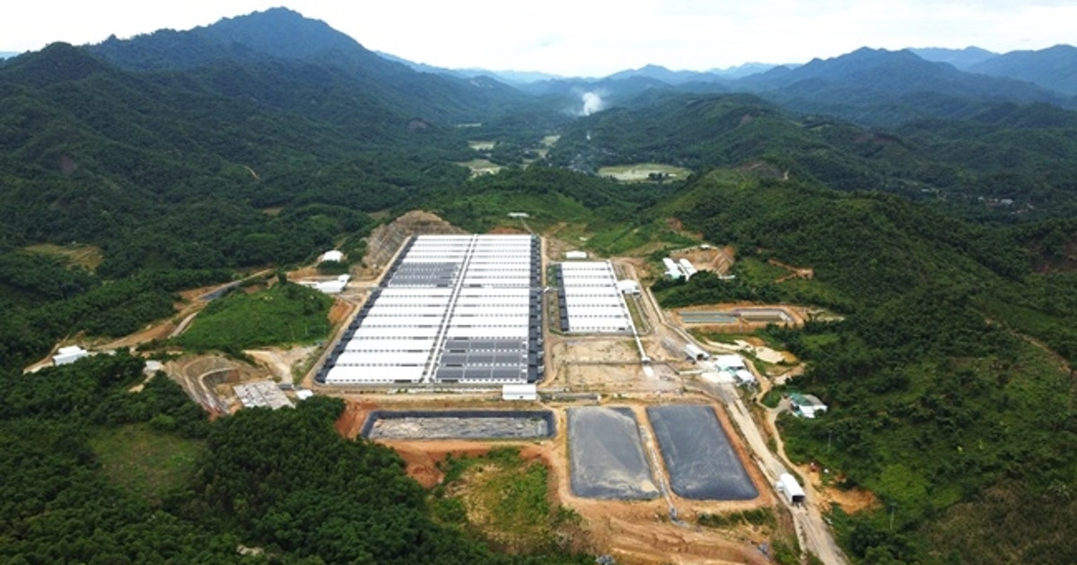 Thanh Hóa: Đình chỉ trang trại chăn nuôi lợn gây ô nhiễm ở Lang Chánh